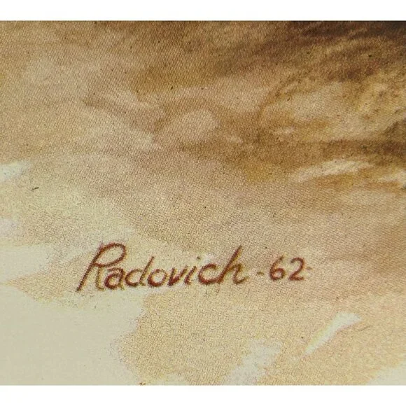 Roadrunner Art Print Radovich 1962 Framed 8x10 Desert Landscape Cactus Flowers - Picture 5 of 7